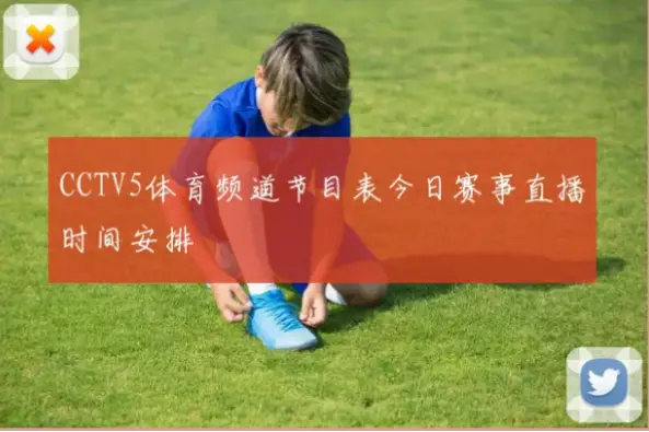 如何快速掌握CCTV5体育节目表？