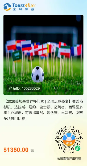 美加墨世界杯安全注意事项 示意图
